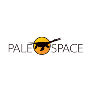 Logo Paleospace